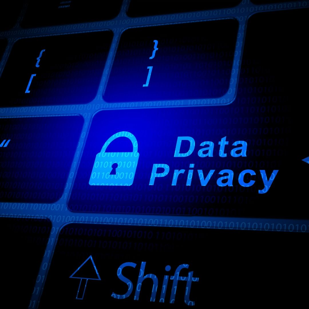 Data Privacy & Data Breach Issues banner